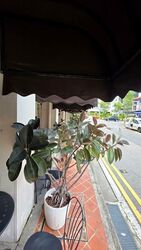 Beach Road (D7), Retail #588440551
